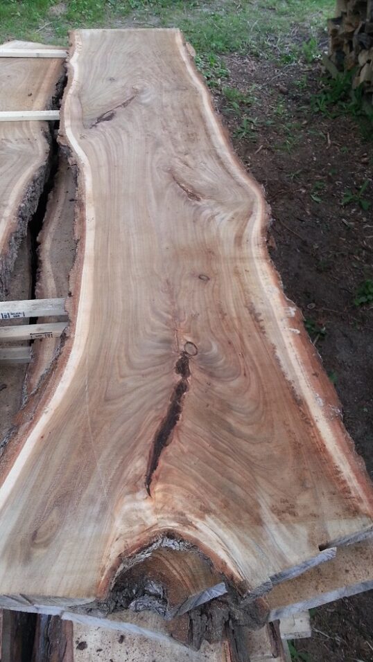 Live Edge Siberian Elm Wood Slab