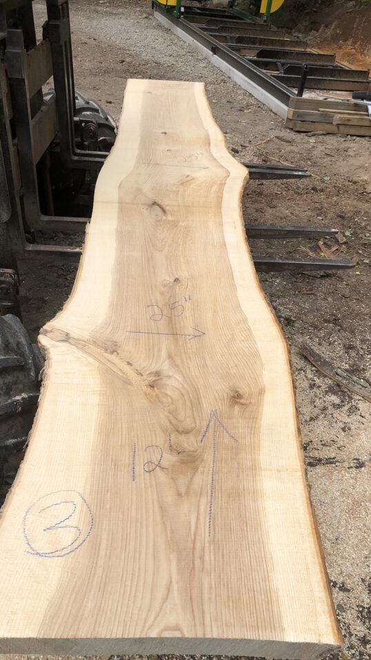 12 Foot Long Live Edge White Ash Slab