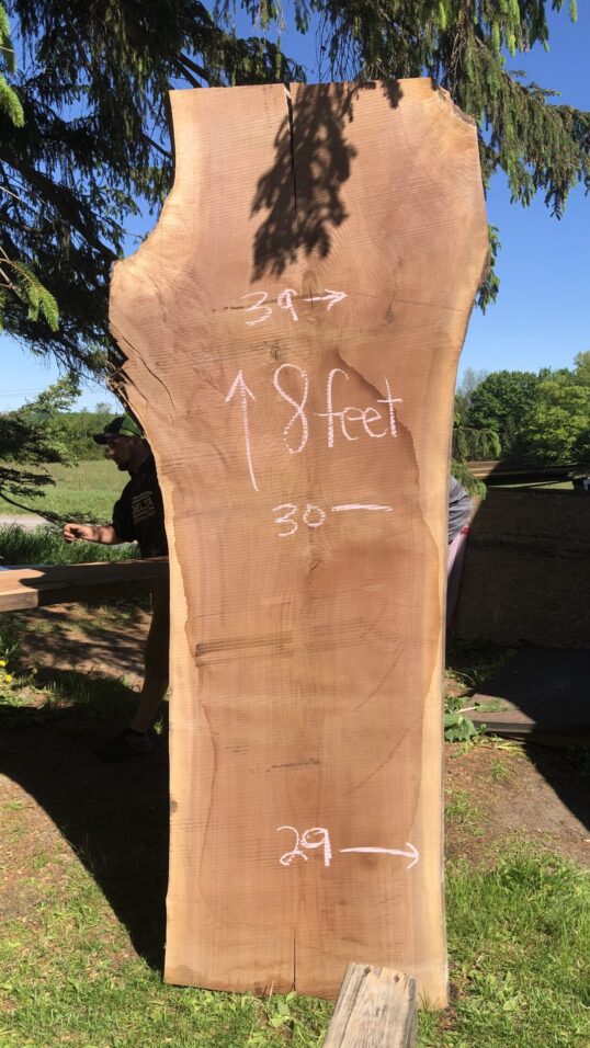 Large live edge walnut desk slab