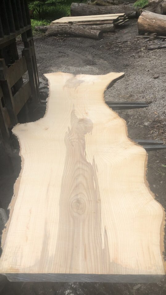 Live Edge White Ash For Sale